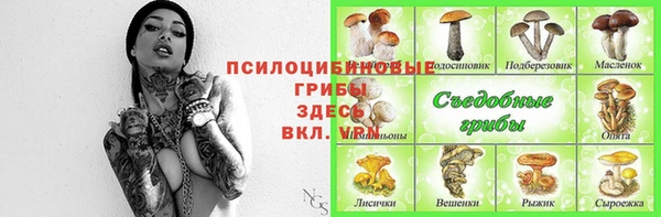 хмурый Наволоки