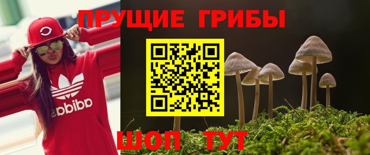 Псилоцибиновые грибы мухоморы Уссурийск